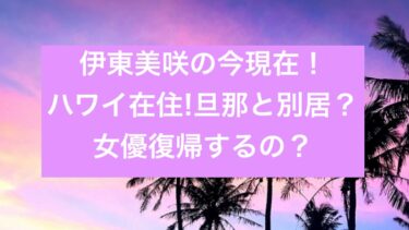 安納恵 グランピング の年齢は 夫 旦那 や子供に父母と妹など家族まとめ セブンルール